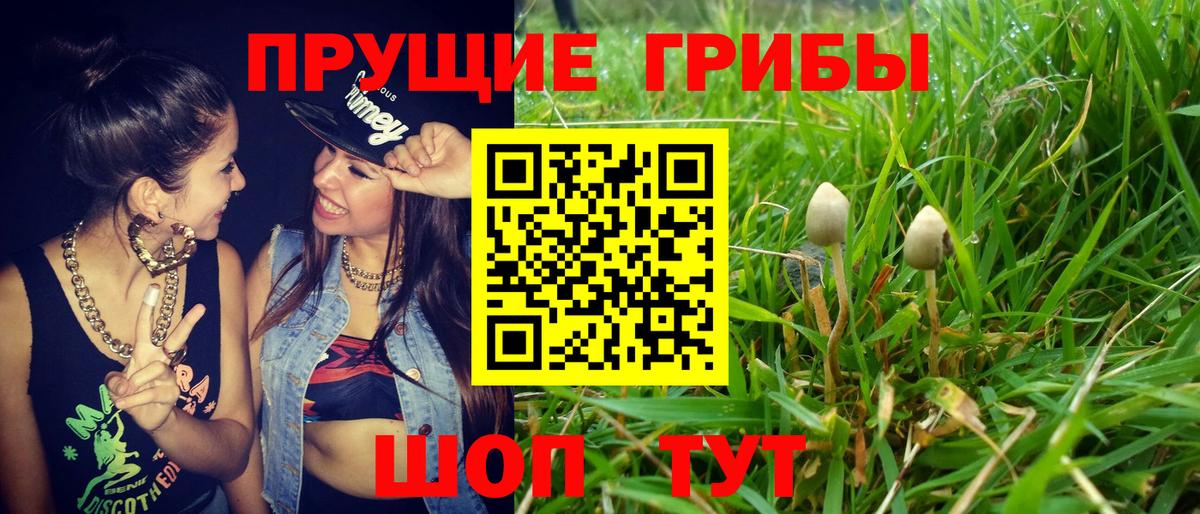 Псилоцибиновые грибы ЛСД Кашира