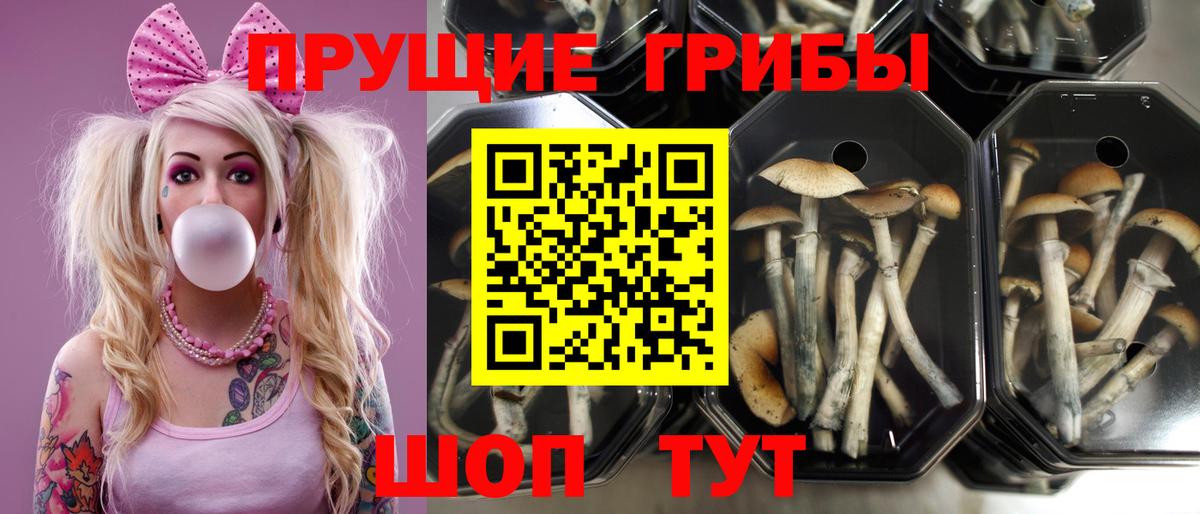 Марихуана  Кашира  Лсд 25  ГАШИШ  Мефедрон   Вход с VPN 