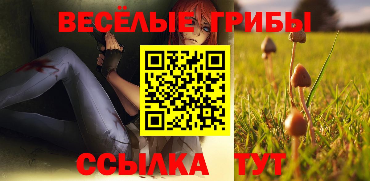 хочу наркоту  Галлюциногенные грибы Magic Shrooms  Вход с VPN  Кашира 